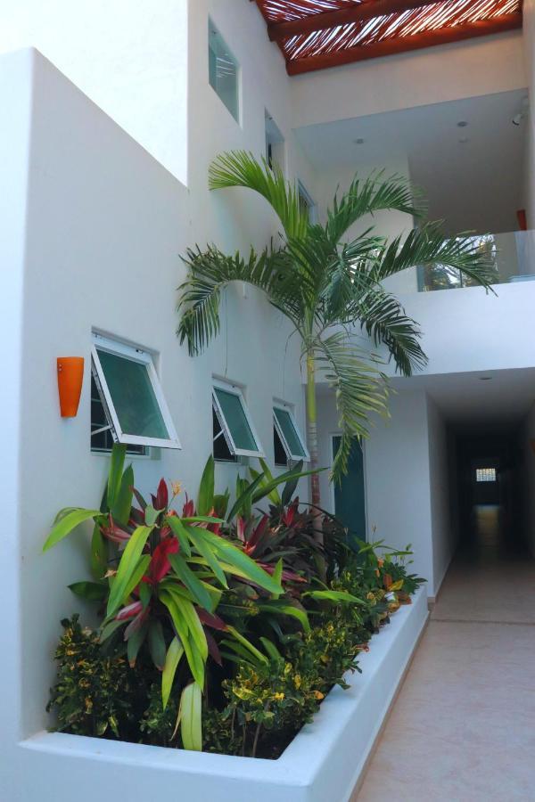 Lydmar Boutique Hotel ซีฮัวตาเนโค ภายนอก รูปภาพ